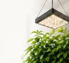 Grow lights